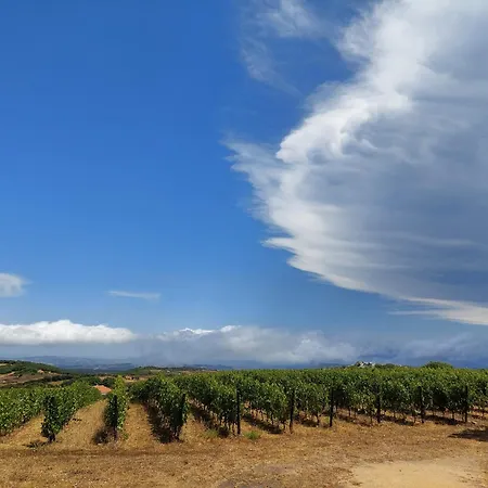 Hébergement de vacances Il Sughereto In Vigna Aglientu