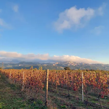Hébergement de vacances Il Sughereto In Vigna