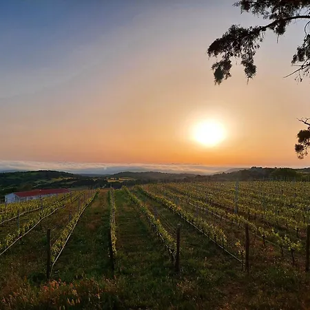 Il Sughereto In Vigna Hébergement de vacances