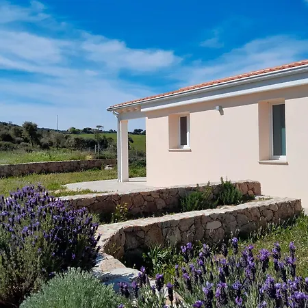 Il Sughereto In Vigna