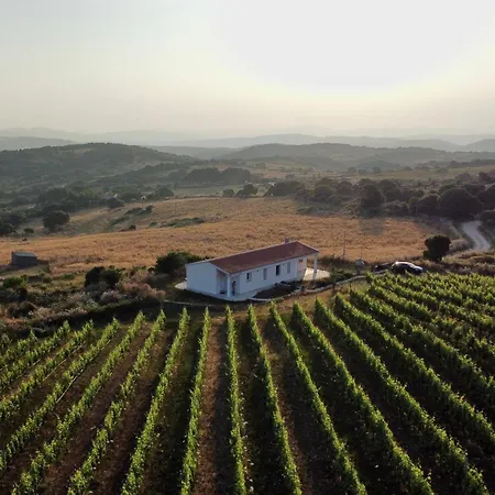 Il Sughereto In Vigna Hébergement de vacances *