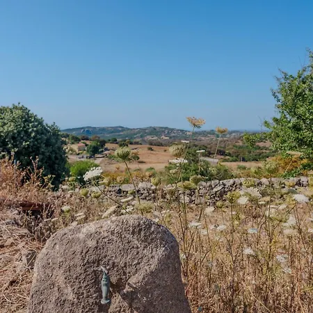 Il Sughereto In Vigna Prázdninový dům *