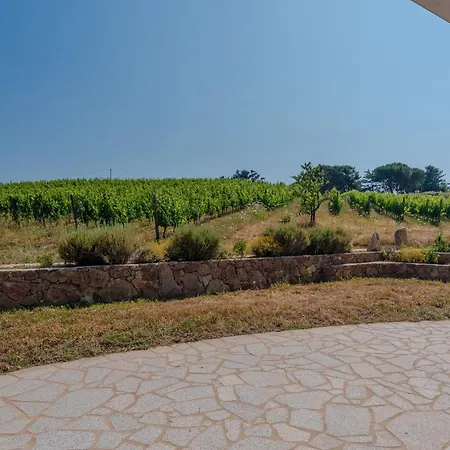 Il Sughereto In Vigna Prázdninový dům Aglientu