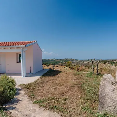 Il Sughereto In Vigna