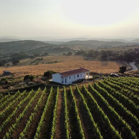 Il Sughereto In Vigna Nyaraló