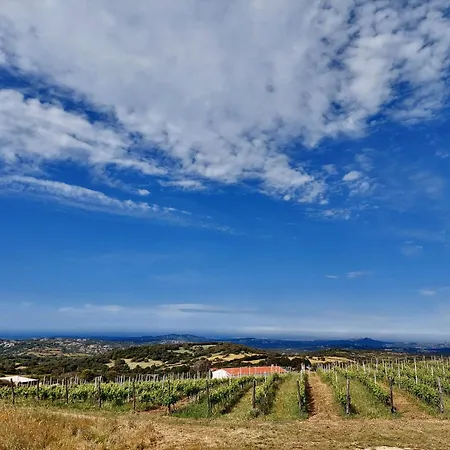 Il Sughereto In Vigna Nyaraló Aglientu