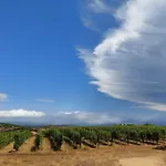 בית נופש Il Sughereto In Vigna אגליאנטו