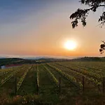 Il Sughereto In Vigna Nyaraló