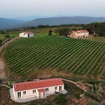 Il Sughereto In Vigna * Aglientu