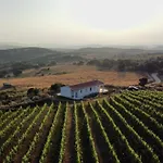 Il Sughereto In Vigna בית נופש *