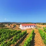Il Sughereto In Vigna Nyaraló *