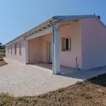 Il Sughereto In Vigna *