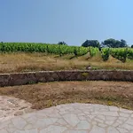 Il Sughereto In Vigna בית נופש