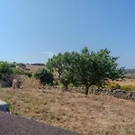 Il Sughereto In Vigna בית נופש אגליאנטו