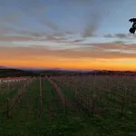 בית נופש Il Sughereto In Vigna *