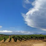 Il Sughereto In Vigna אגליאנטו