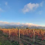Il Sughereto In Vigna Aglientu