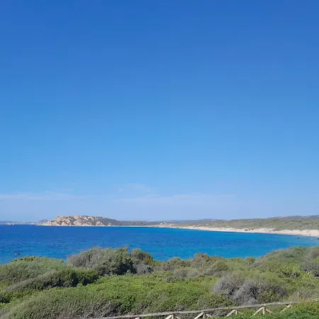 Il Sughereto In Vigna アリエントゥ