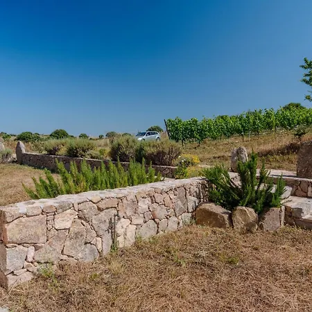 Il Sughereto In Vigna 펜션 *