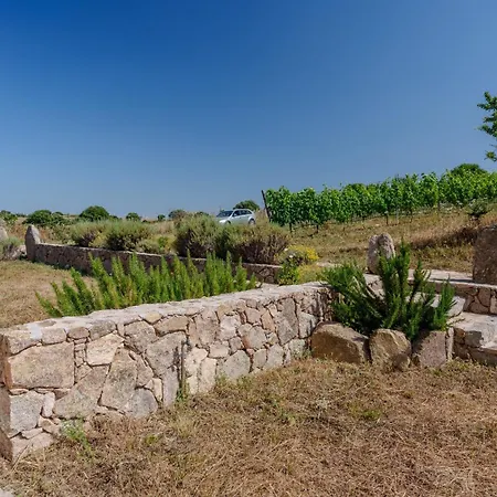 Il Sughereto In Vigna Hébergement de vacances Aglientu