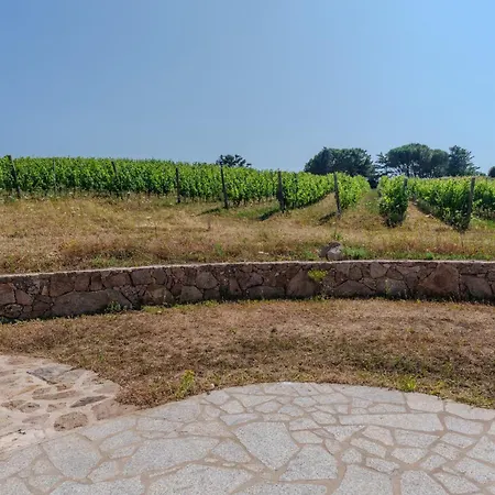 Il Sughereto In Vigna Hébergement de vacances