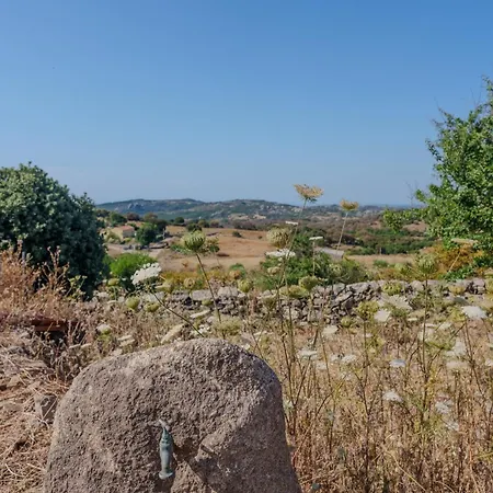 Hébergement de vacances Il Sughereto In Vigna *