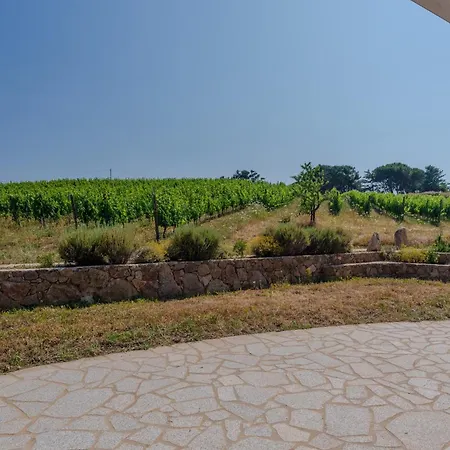 Il Sughereto In Vigna *