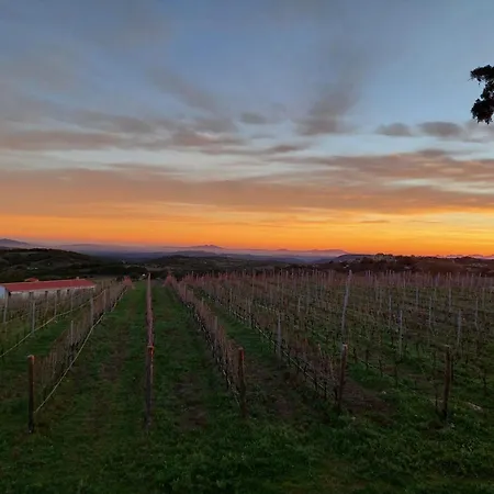 Hébergement de vacances Il Sughereto In Vigna *