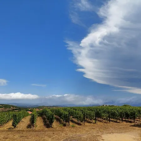 Il Sughereto In Vigna Aglientu