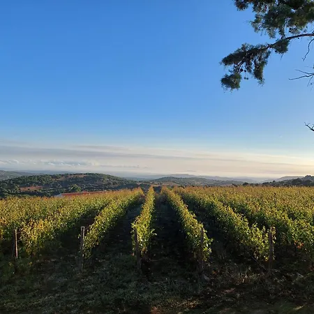 Il Sughereto In Vigna Hébergement de vacances *